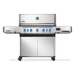 Napoleon Prestige® 665 Connected RSIB with Infrared Side and Rear Burner