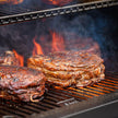 Masterbuilt 800 GravityFed BBQ with Pitmaster Pack